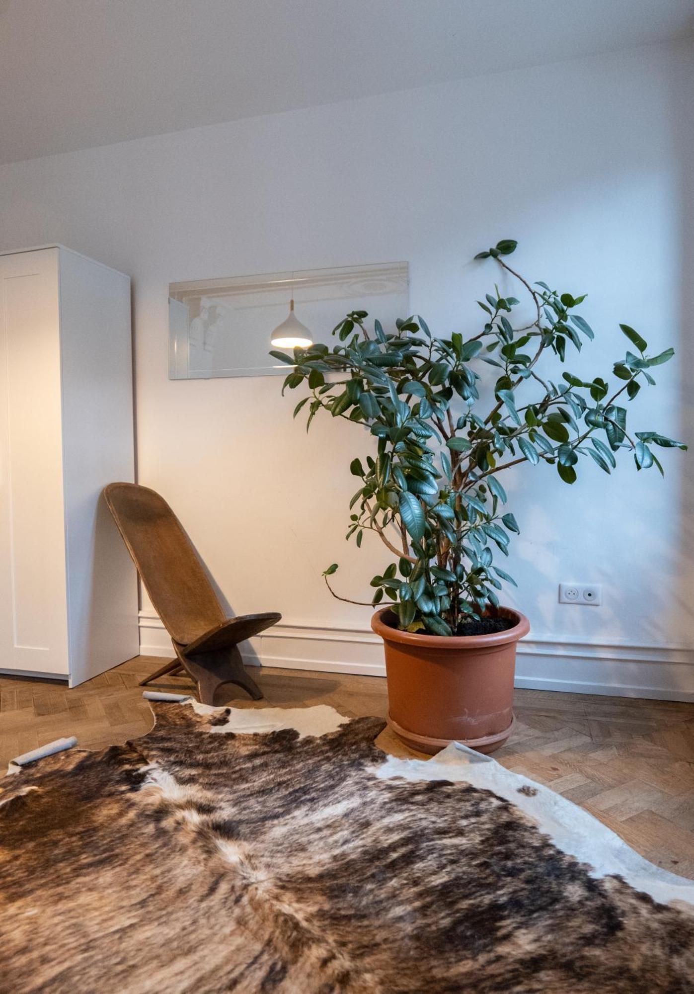 Les Appartements Rue Des Veaux - Quartier Cathedrale Strasbourg Eksteriør billede