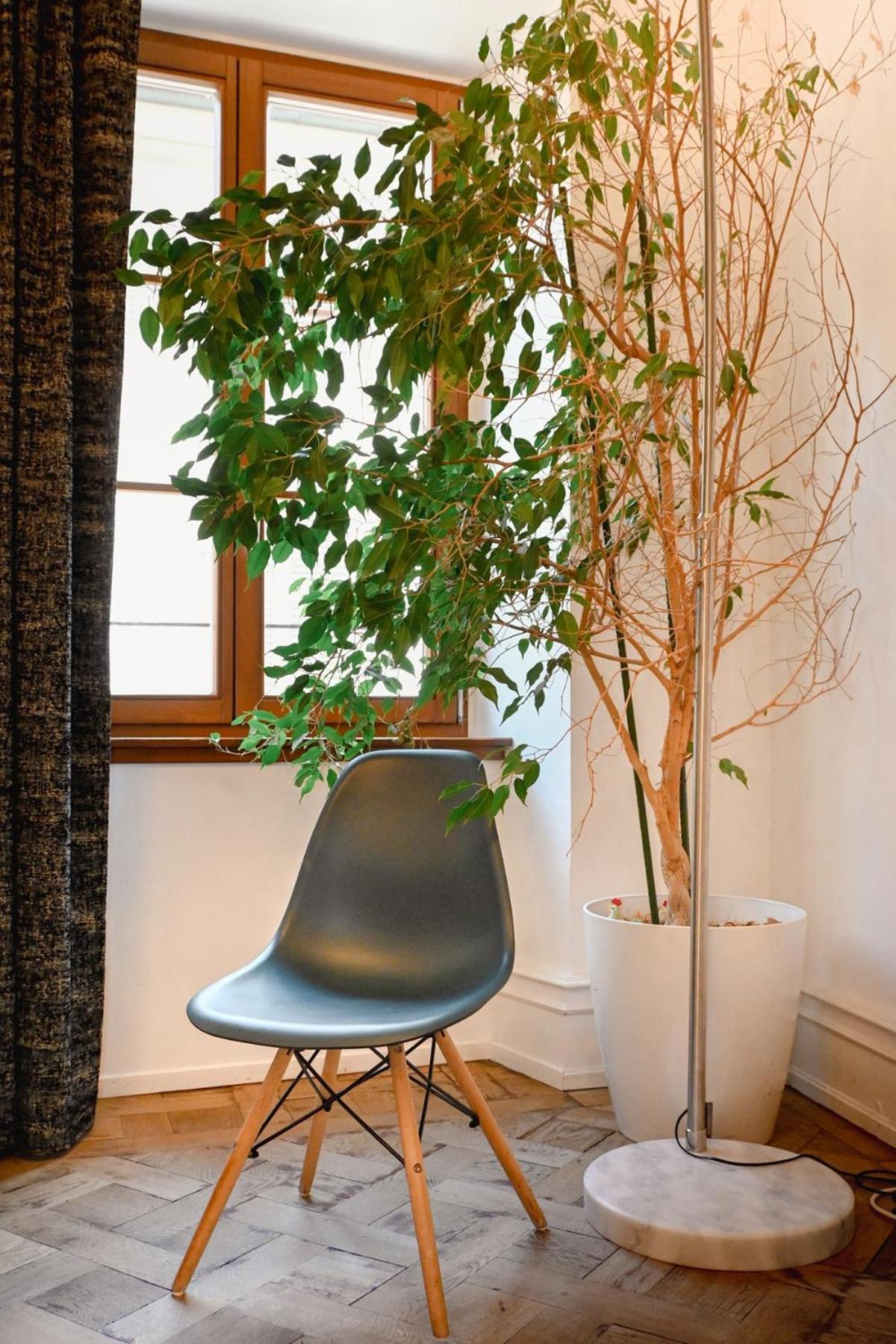 Les Appartements Rue Des Veaux - Quartier Cathedrale Strasbourg Eksteriør billede